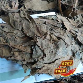 布渣叶 别名:蓑衣子 破布叶 麻布叶 烂布渣 布包木 破
