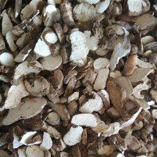 重楼精品进口重楼片批发名贵药材中草药花茶矿石产地海外印尼