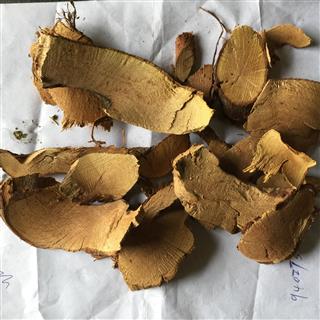金樱根