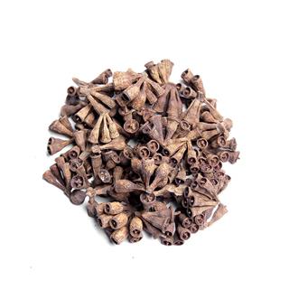桉树果统货 (500/袋)产地 广西壮族自治区
