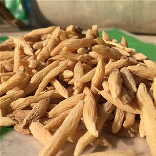 药企采购 根茎类 山麦冬 收藏商品