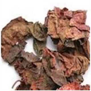 紫背天葵/红叶/散血子/夜渡红/红水葵 清热凉血;止咳化痰;解毒消肿 统
