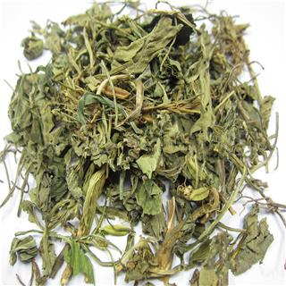 紫花地丁 统货 产地 山西省长治市