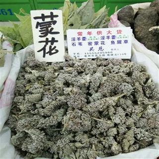                  密蒙花 选货