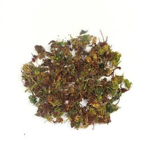 b回心草统货 (500克/袋) 云南省