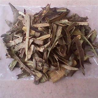 100%瑶山野生毛冬青皮 别名茶叶冬青 密毛冬青 乌尾丁