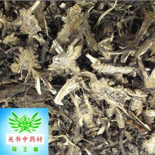 藁本 藁本产地直销 批发各种规格中药材,中草药,花茶,矿石 产地 新疆