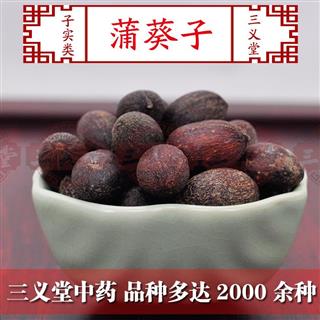 蒲葵子 统 产地 广西.