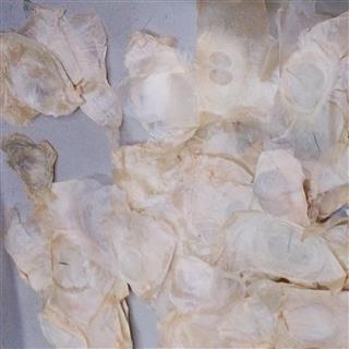 木蝴蝶 千张纸 统
