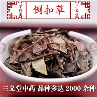 三义堂冷背中药材牛舌大黄 倒扣草 倒叩草 牛舌头 鱼鳞菜 倒钩草 统