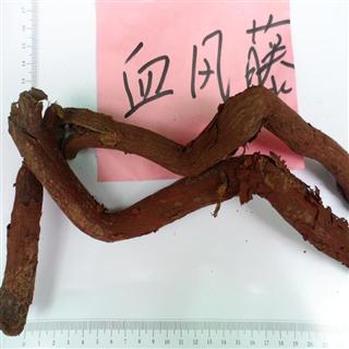 统条血风藤(红穿破石) 产地广西壮族自治区 45元/公斤