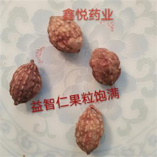 益智仁 益智统货