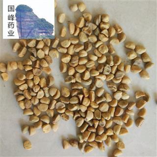 牵牛子 牵牛子白丑 好统货 颜色好 国峰药业 重在品质