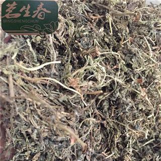 鹅不食草 统 产地 福建省 茗生春药材总公司 一手货源