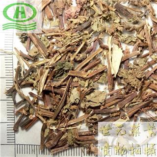 草石椒 小红蓼 小红藤 骨虫草 满地红 火溜草 红花地丁 绣球草 惊风草
