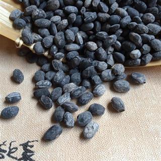 中药材淡豆豉 优质淡豆豉 精选新货淡豆鼓500克 纯净颗粒饱满大货批发