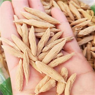 16 促销信息: 领      券: 规格与数量 品名:山麦冬 规格:山麦冬
