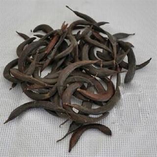 猪牙皂 猪牙皂选个 产地 山东省 小辰药业