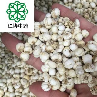 中药材诚实通 根茎类 伊贝母  收藏商品