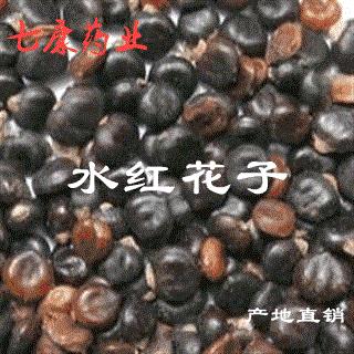 水红花子 水红花子净货 产地 广西壮族自治区