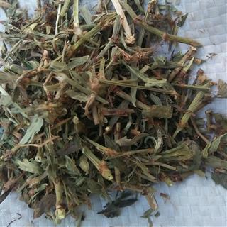 商品信息_盛佰药业-中药材诚实通