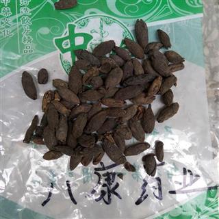 母丁香 统货 产地 广西壮族自治区防城港市上思县