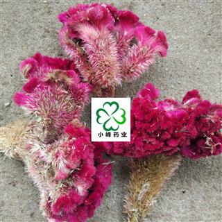鸡冠花 颜色好 新货 纯干 无虫蛀 产地 河北省