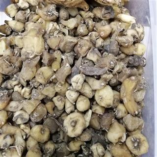 山慈菇 正品山慈菇 丽江山慈菇 统 产地 云南省丽江市