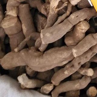 小丽百草行中药材 雪里开根 蛇松子根 地雷根 拐子药根