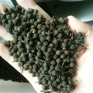 荜澄茄 澄茄子 澄茄 毗陵茄子 毕澄茄 荜澄茄选货 产地 四川省