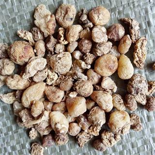              山慈菇 冰球子统货