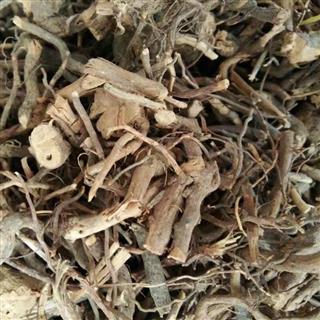 三月泡 茅莓根