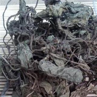 独叶莲 独脚莲 坠千斤 铁帽子 山米子 青莲 磨地沙 珍珠叶 半边伞