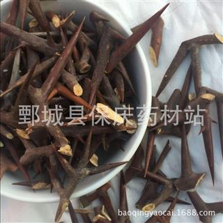 中药材 皂角刺天丁刺 皂针 皂荚刺 皂刺 量大从优