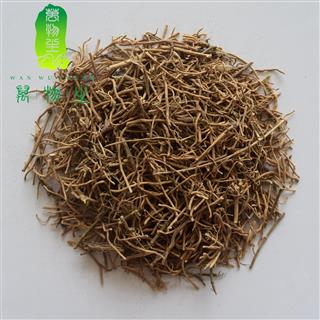 细辛 细辛统段 辽宁细辛 北细辛 辽细辛