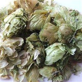 啤酒花 正品 忽布 蛇麻花 酵母花 酒花 啤瓦古丽 香蛇麻