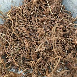 茜草 统货.大货批发 产地 山西省晋城市