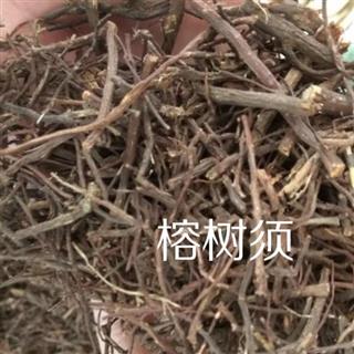 吉康药业榕树须 榕须 中药材 产地直供榕树根 半天吊 榕树须 吊风根