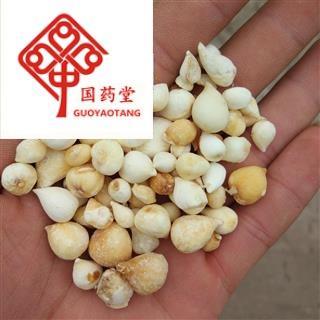 山慈菇 光慈姑 国药堂 专注品质 产地 云南省