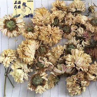             菊花 好统白菊花 家