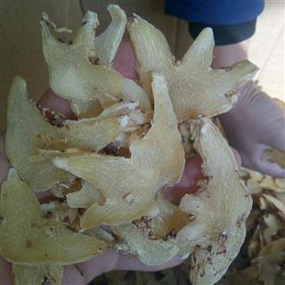 商品信息_亳州娟子中药行-中药材诚实通