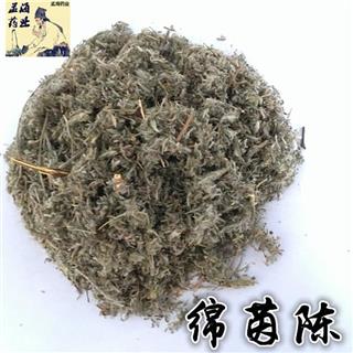 茵陈 绵茵陈灰白色统段 产地 河南省