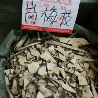 小岗梅 阳枝切片 产地.