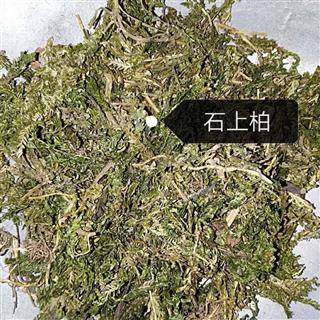 石上柏 深绿卷柏 地侧柏 梭罗草 地梭罗 金龙草 龙鳞