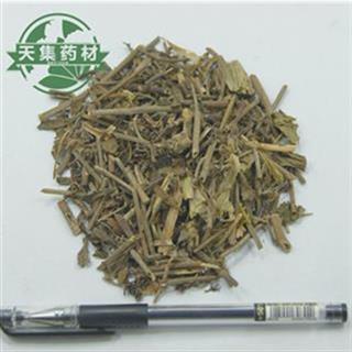 马三七 白三七 胡椒七 晒不干 吐血草 见血散 活血丹 墙头三七 养心草