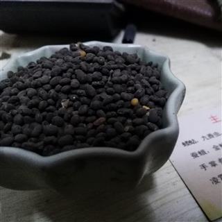 正品野料豆 零乌豆 马料豆 细黑豆 稽豆 料豆 马豆