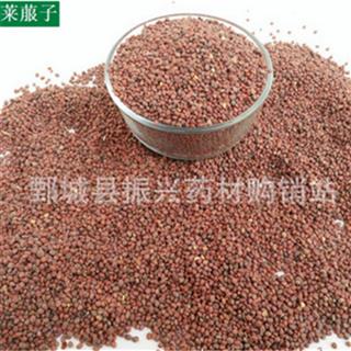 振兴药材购销站