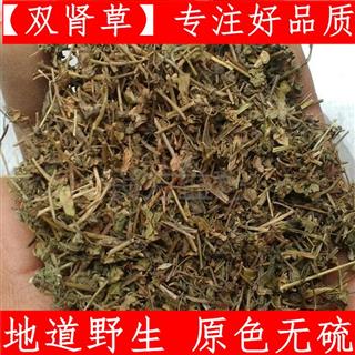 中药材西藏 双肾草一根葱秤砣草坠桃草 肾阳草 一根葱