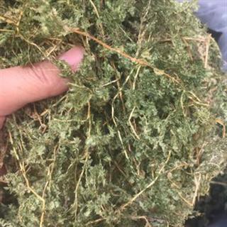 安祁名药