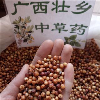 广西壮乡中草药